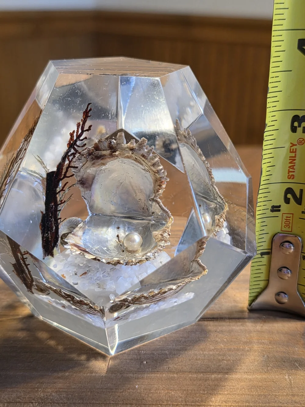 VTG Faceted Lucite Coastal Oyster Paperweight